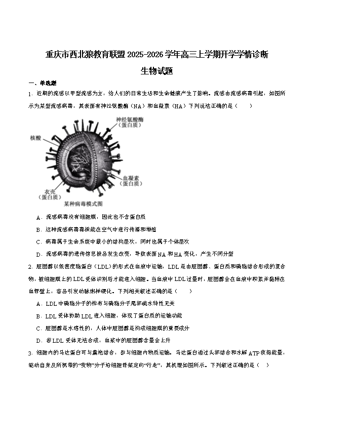 重庆市七校联盟2024-2025学年高二下学期期末考试 生物 Word版含答案