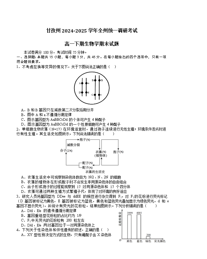 四川省内江市2024-2025学年高一下学期期末考试 生物 PDF版含答案