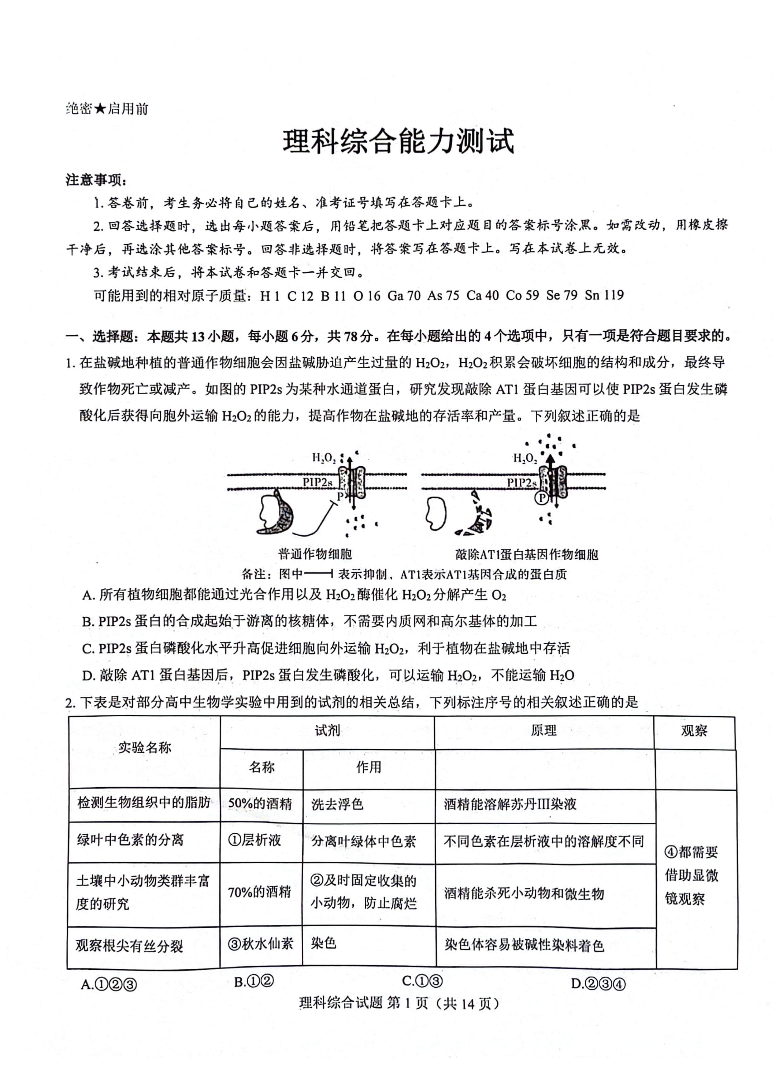 河南省郑州市第一中学2024届高三下学期高考考前全真模拟考试 理综 PDF版含答案