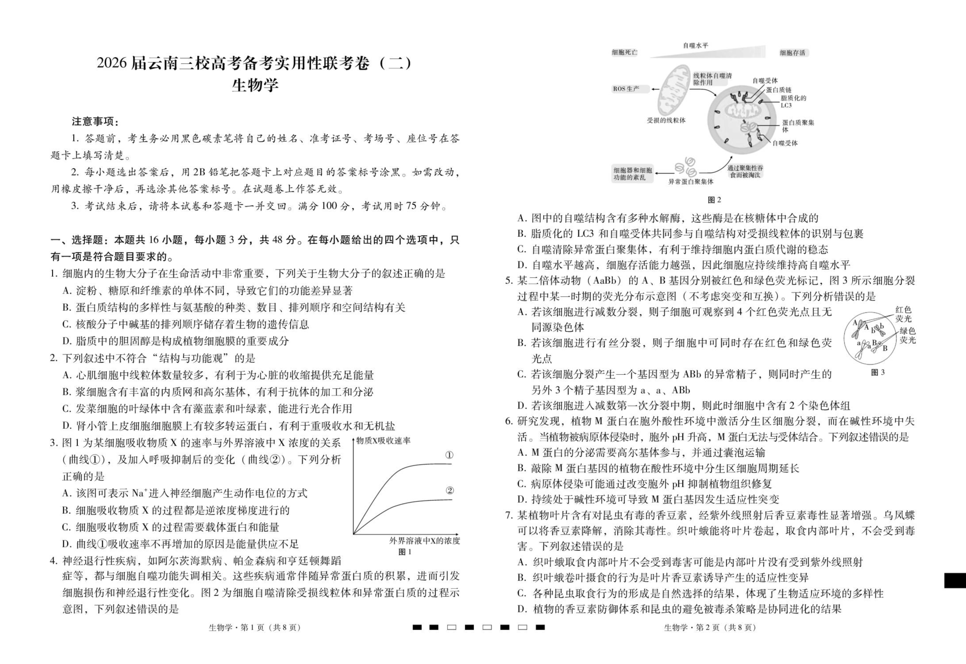云南省玉溪第一中学2026届高三上学期适应性测试(二)生物 Word版含答案