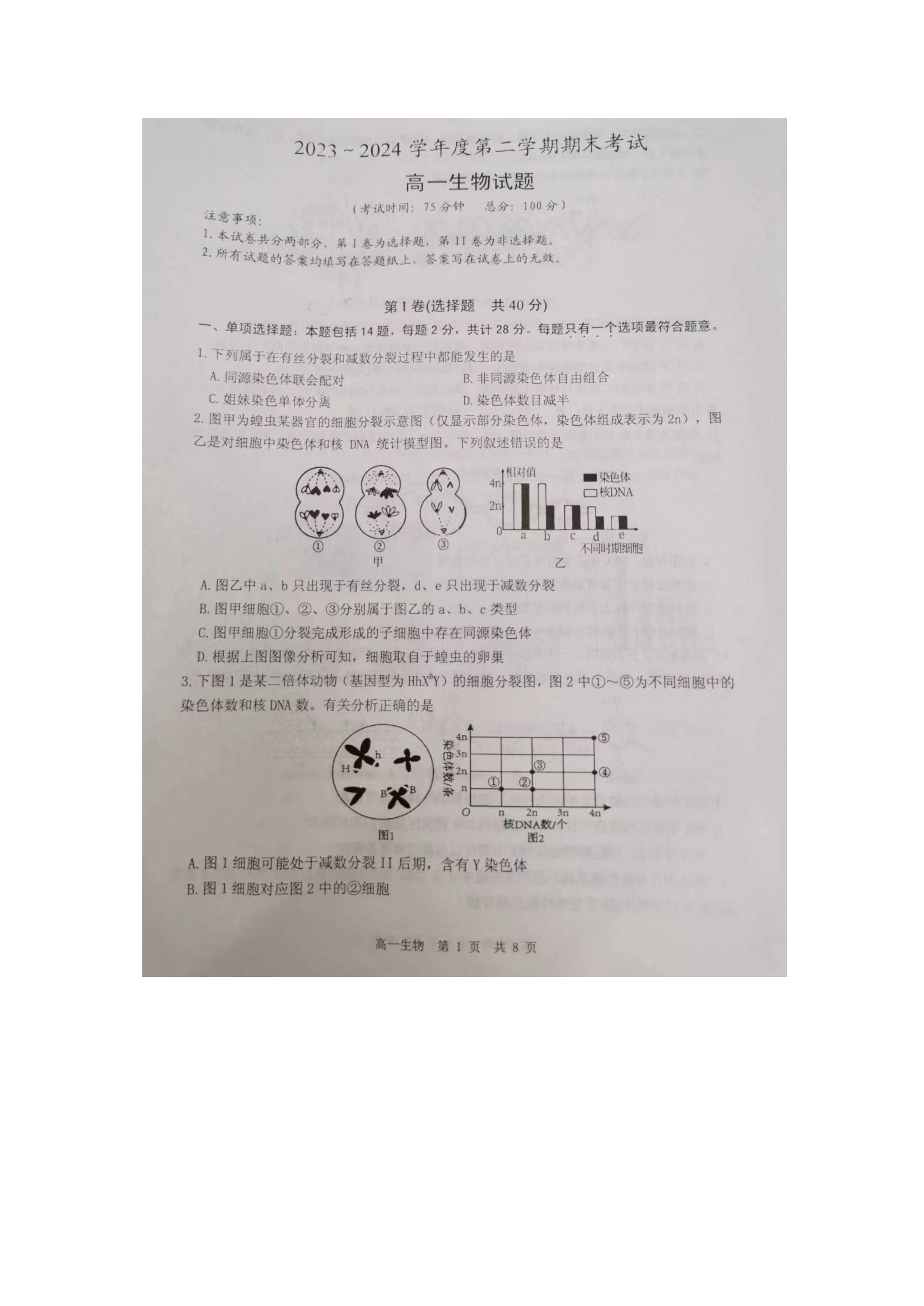 江苏省泰州中学2024-2025学年高三上学期开学考试 生物 Word版含答案