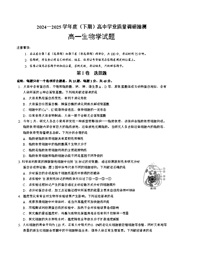 重庆市七校联盟2024-2025学年高二下学期期末考试 生物 Word版含答案