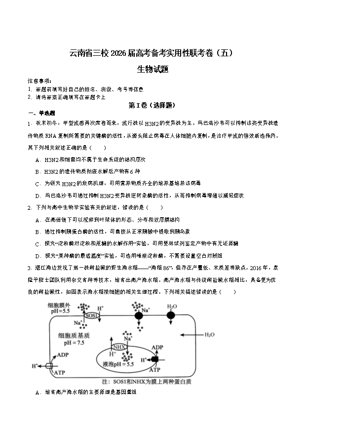 云南省保山市2024-2025学年高三上学期1月期末考试 生物 Word版含解析