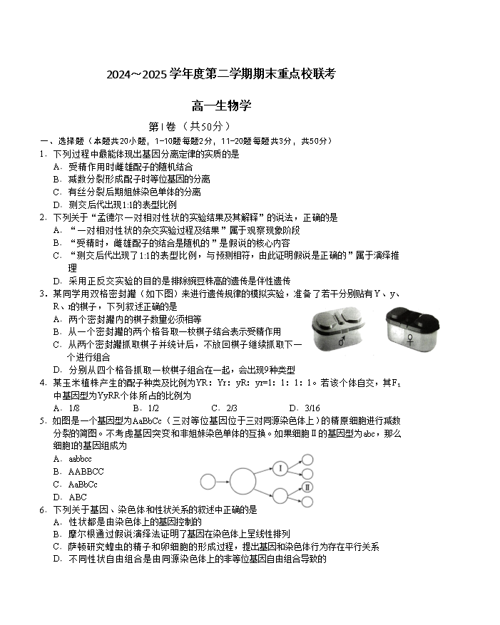天津市五区县重点校2024-2025学年高一下学期7月期末联考试题 生物 Word版含答案