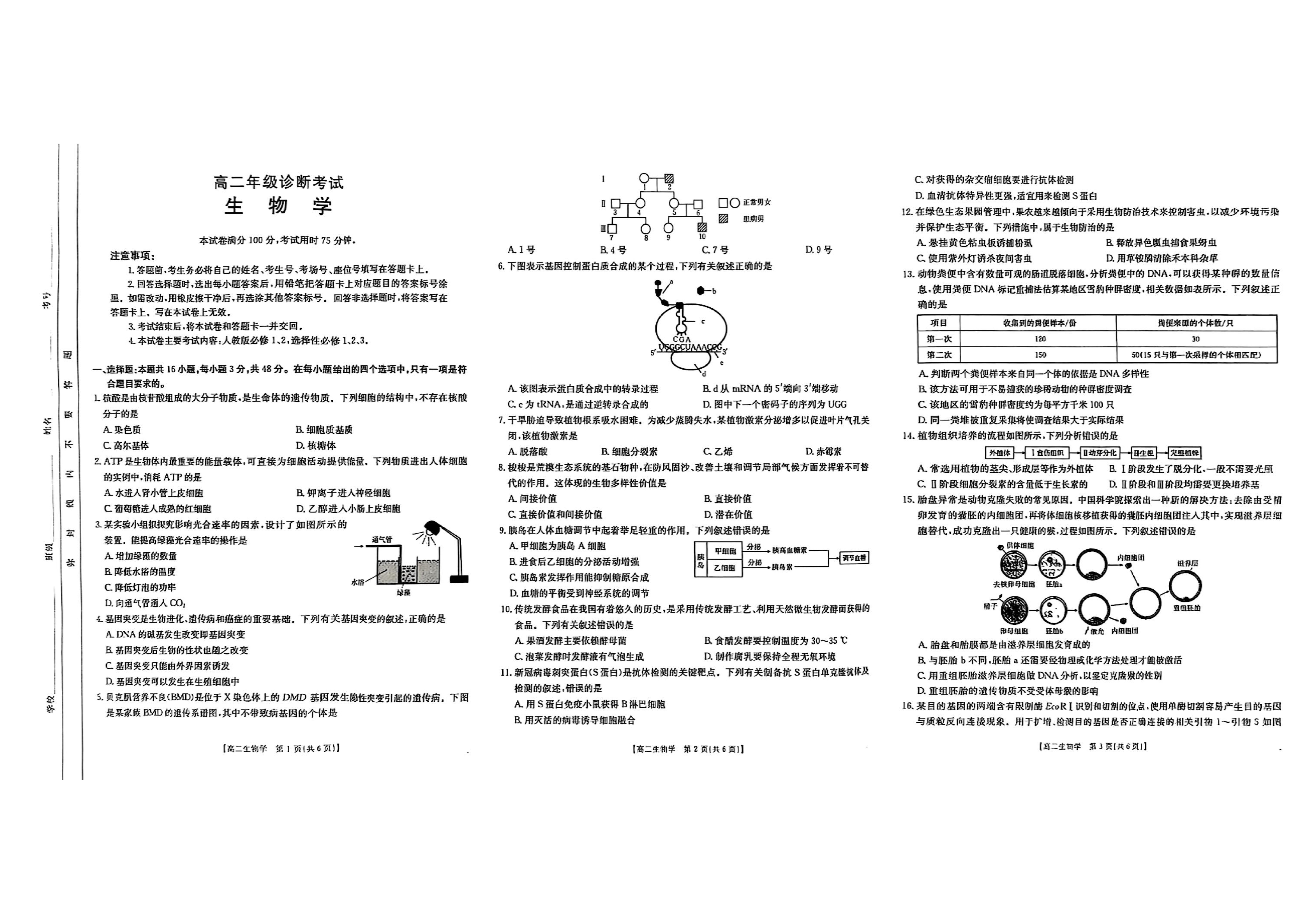 甘肃省部分学校2026届高三上学期8月开学联考试题 生物 PDF版含解析