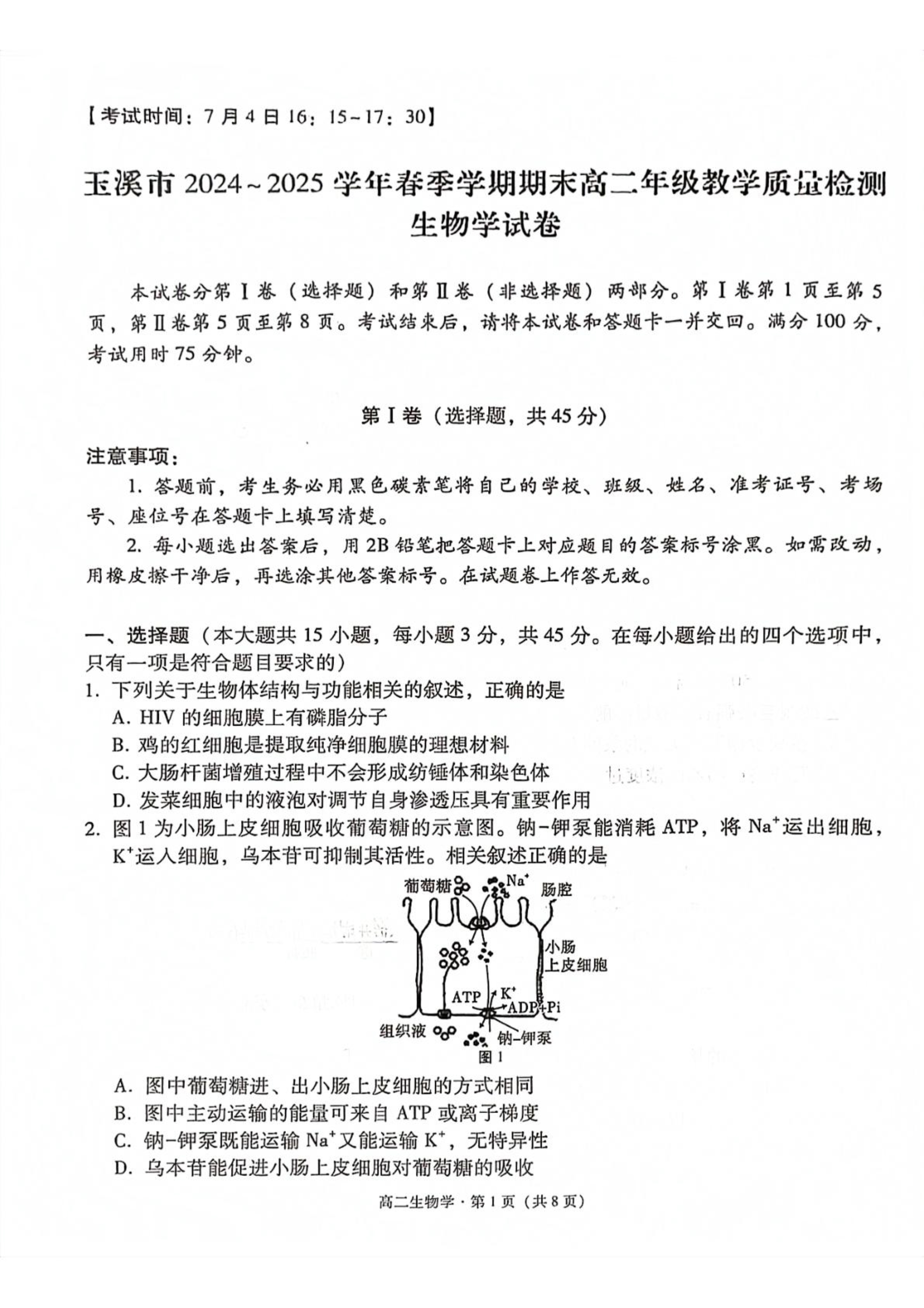 云南省玉溪第一中学2026届高三上学期适应性测试(二)生物 Word版含答案
