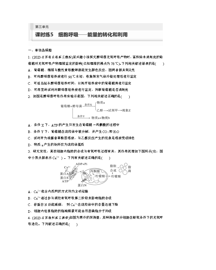备战2026年高考精品试题汇编 生物 专题18 基因工程 Word版含解析