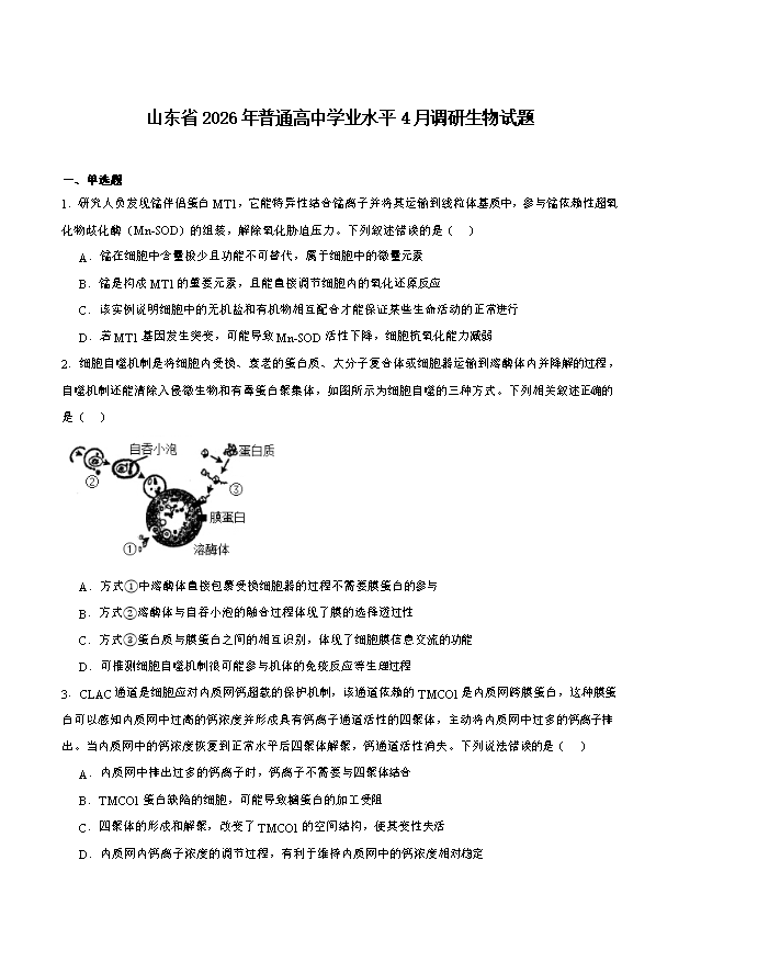 山东省济南市2026届高三下学期二模试题 生物 PDF版含答案