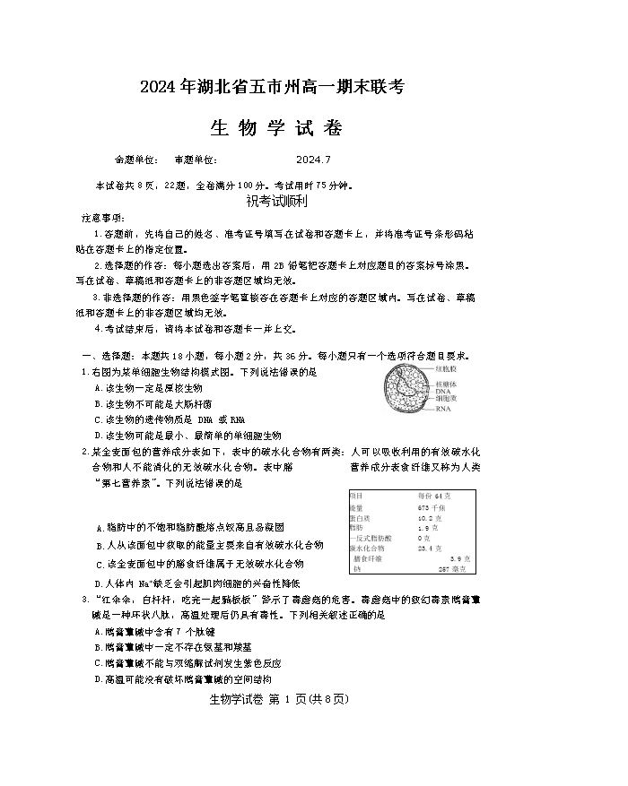 湖北省高中名校联盟2025届高三上学期8月第一次联考生物试题 Word版含答案