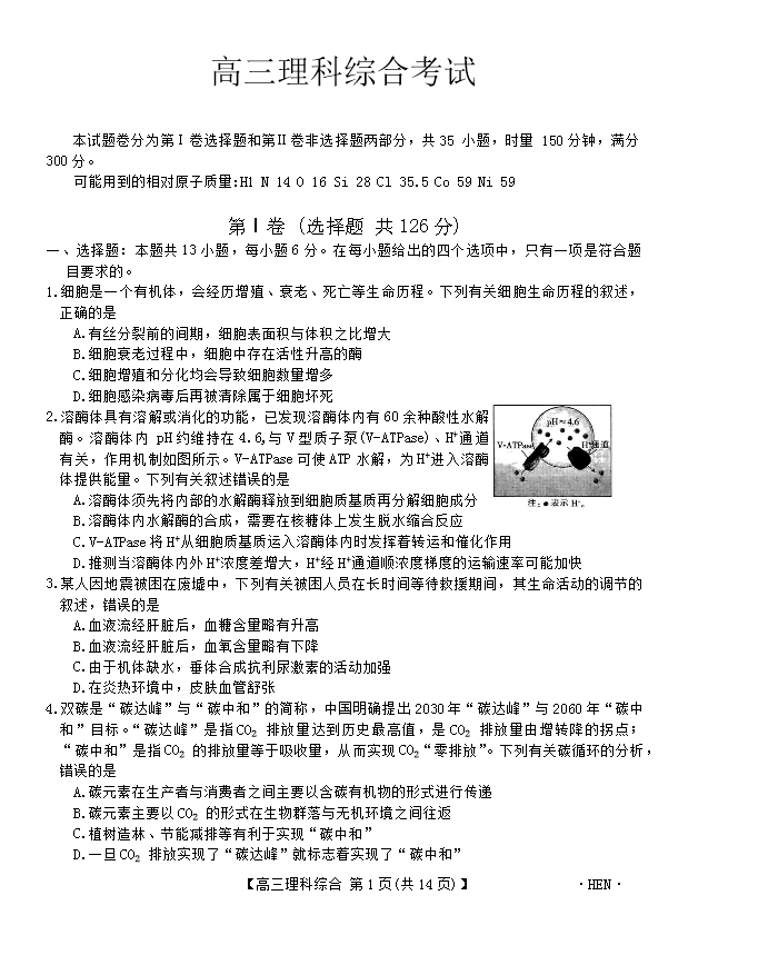河南省郑州市第一中学2024届高三下学期高考考前全真模拟考试 理综 PDF版含答案