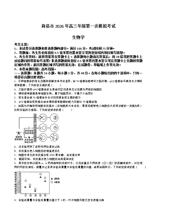 陕西省商洛市2026届高三下学期第一次模拟考试 生物 Word版含答案