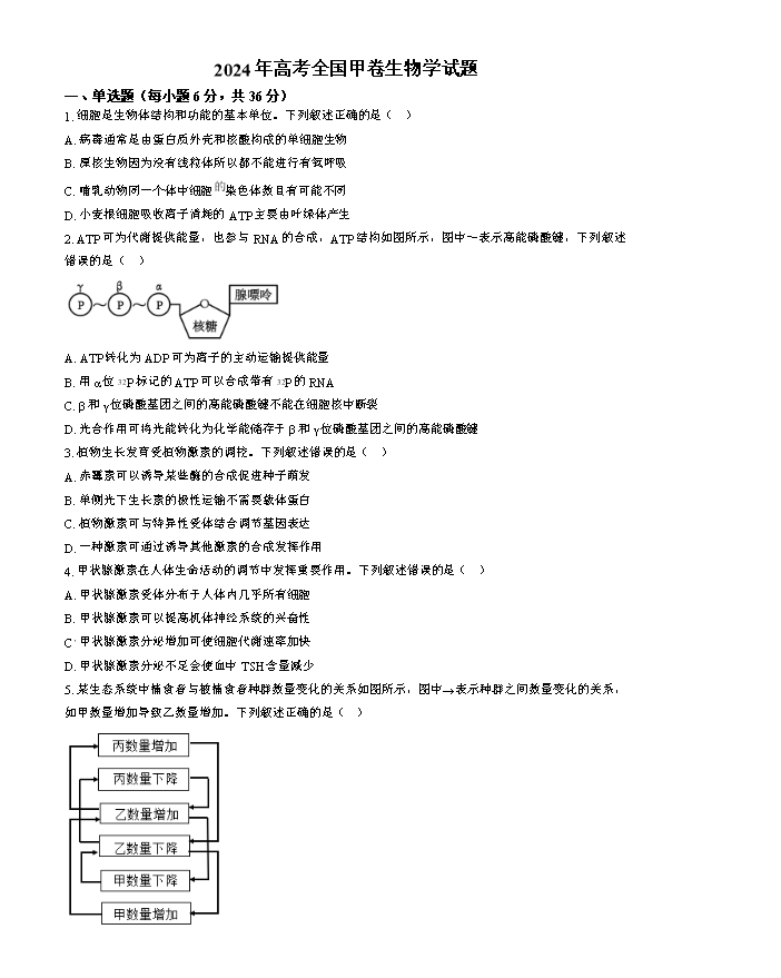 湖湘名校教育联盟2023-2024学年高一下学期5月大联考生物 Word版含解析