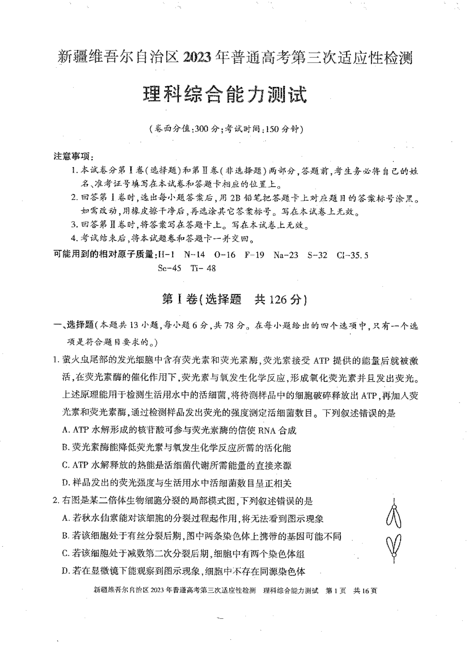 新疆维吾尔自治区2025届高三下学期三模试题 理综 PDF版含解析