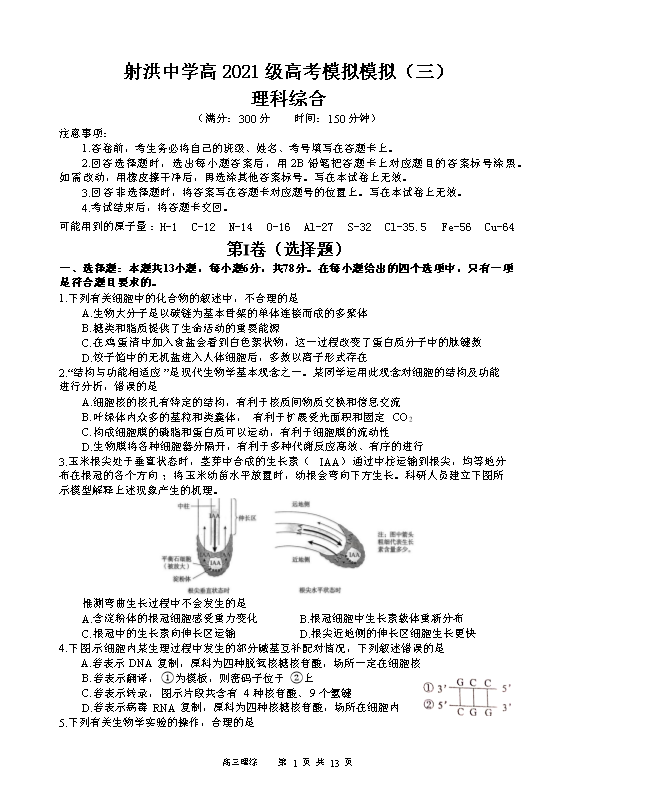 四川省绵阳南山中学2024届高三下学期高考仿真演练(一)理综 Word版含答案