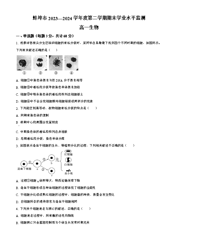 安徽省蚌埠市2024-2025学年高三上学期开学调研性考试 生物 PDF版含答案(可编辑)