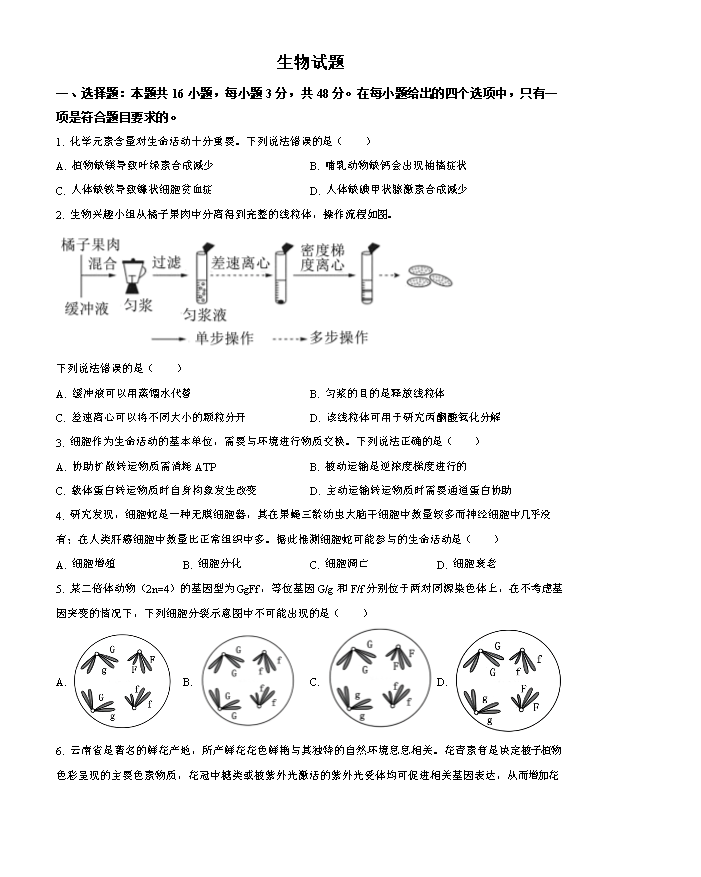 云南省玉溪第一中学2026届高三上学期适应性测试(二)生物 Word版含答案