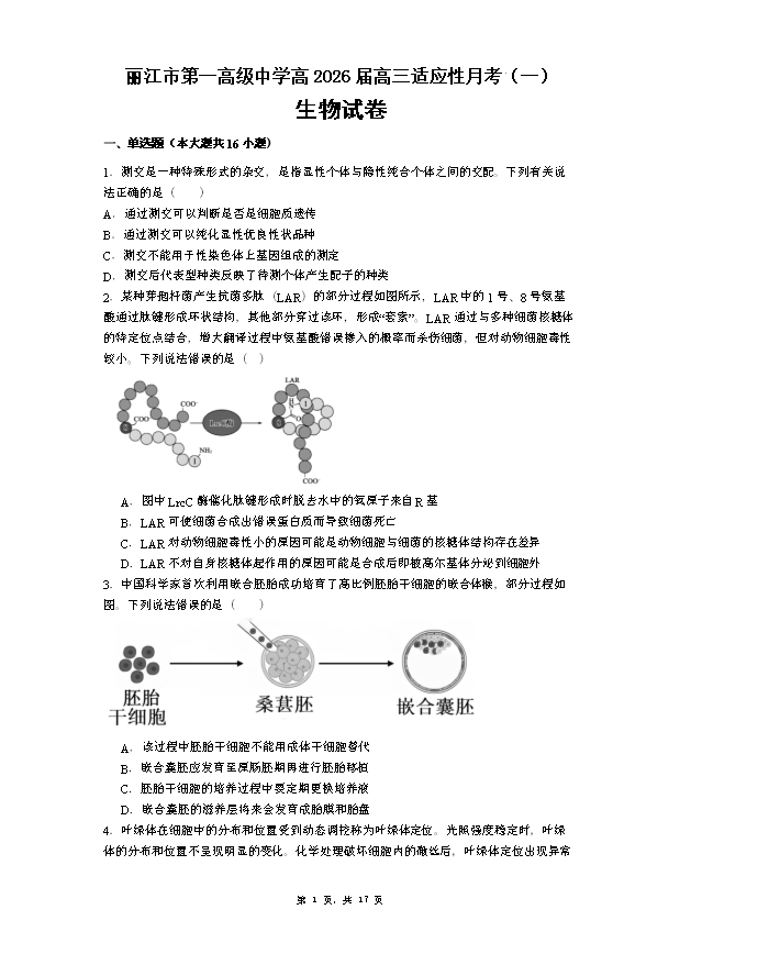 云南省玉溪第一中学2026届高三上学期适应性测试(二)生物 Word版含答案