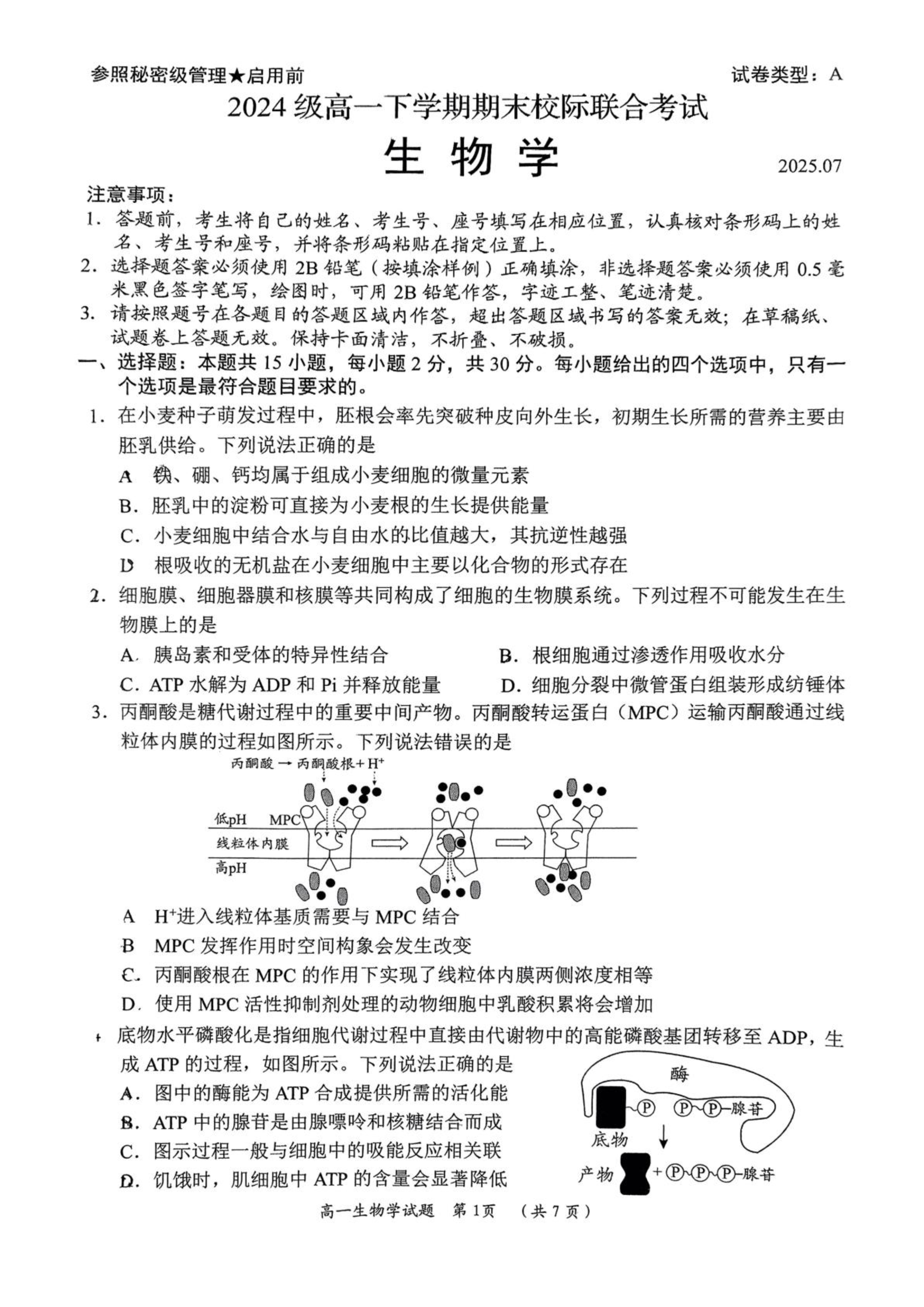 山东省烟台市2024-2025学年高一下学期期末考试 生物 PDF版含答案