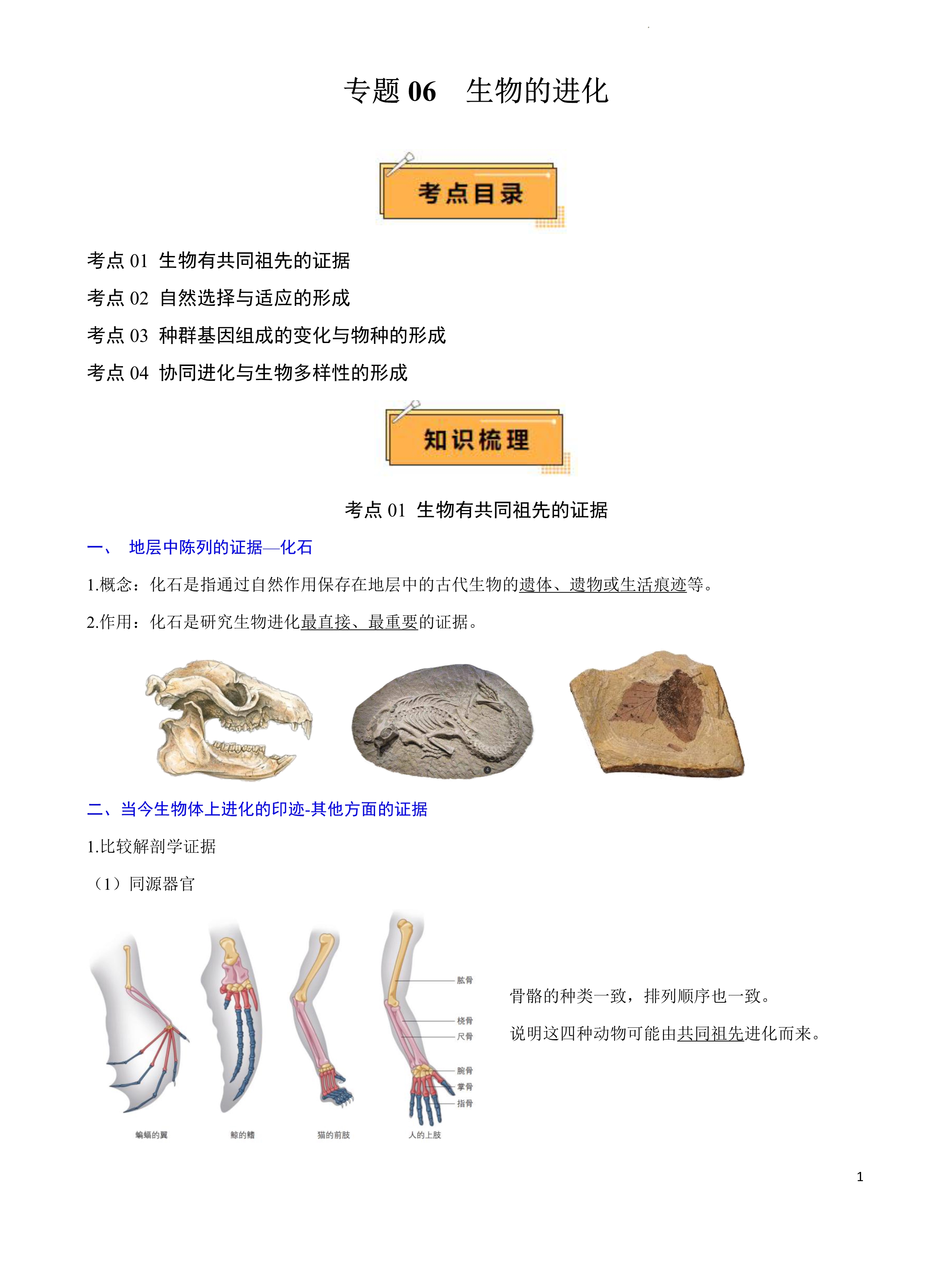 九师联盟2024-2025学年高二下学期7月质量检测试题 生物(B) PDF版含解析