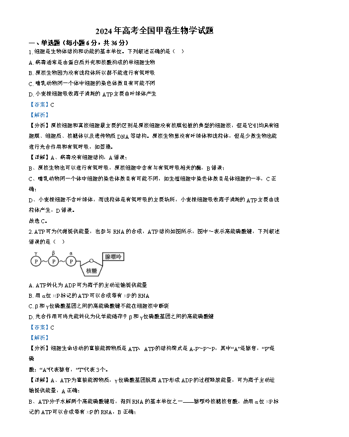 湖湘名校教育联盟2023-2024学年高一下学期5月大联考生物 Word版含解析