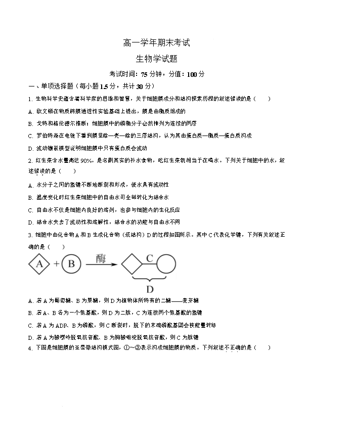 黑龙江省大庆市2026届高三下学期三模试题 生物 PDF版含答案