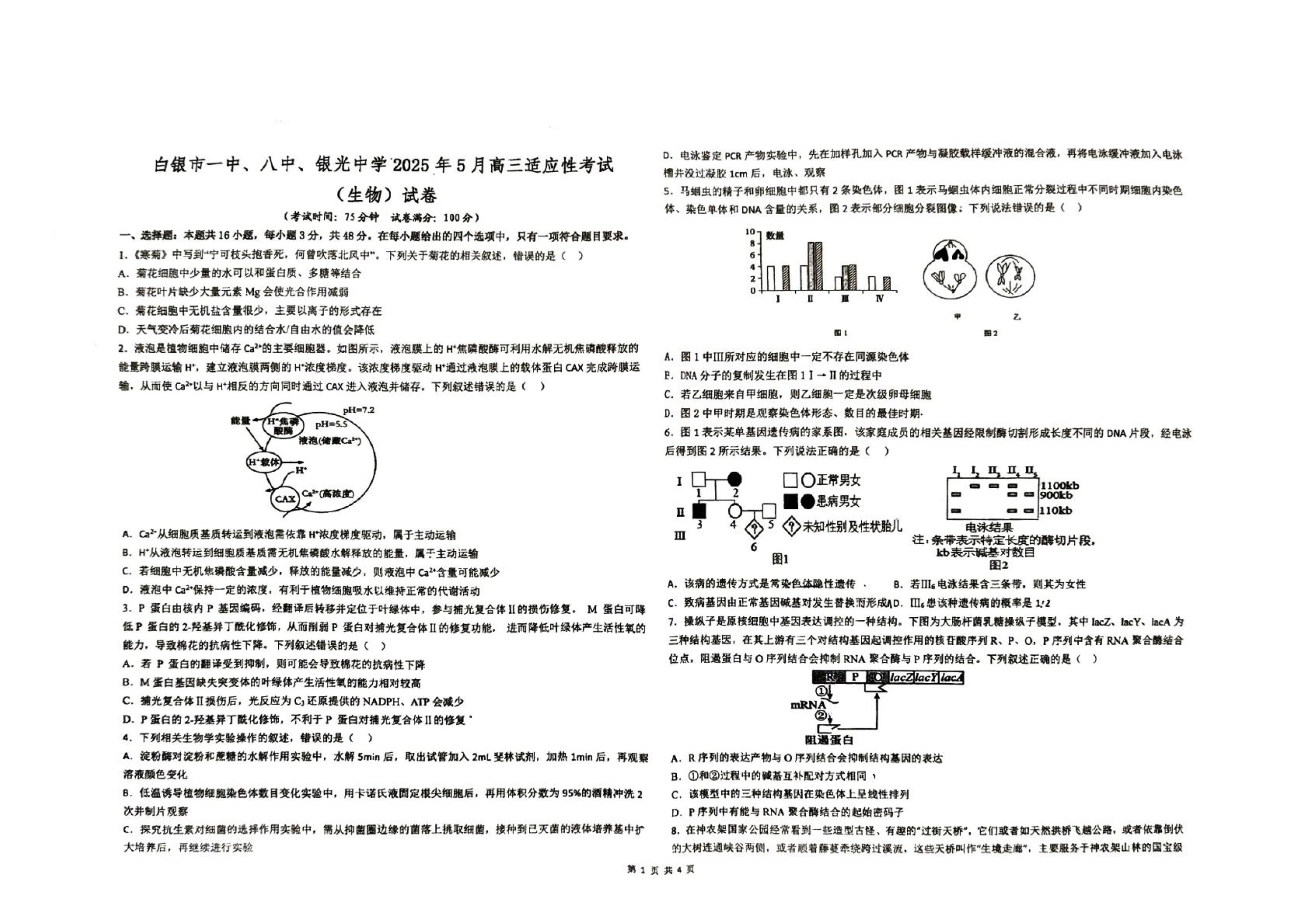 甘肃省部分学校2026届高三上学期8月开学联考试题 生物 PDF版含解析