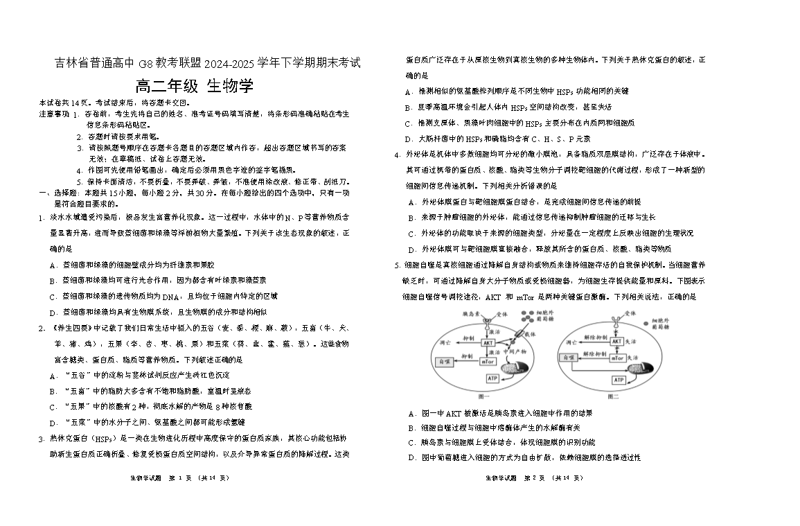 【KS5U发布】吉林省长春外国语学校2024-2025学年高二下学期期末考试 生物A卷 Word版含答案、答题卡