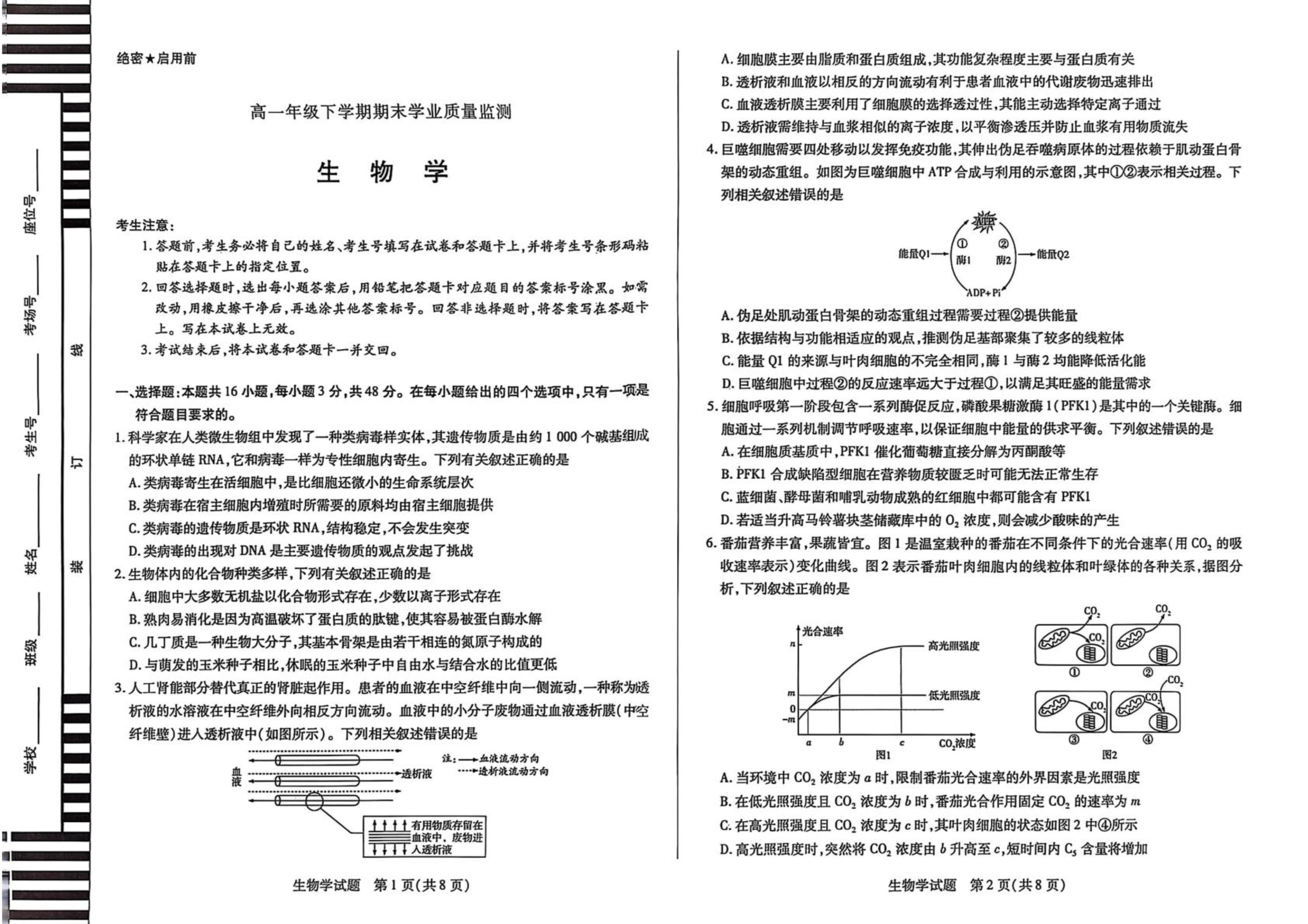 河南省商丘市2024-2025学年高一下学期期末考试 生物 PDF版含解析