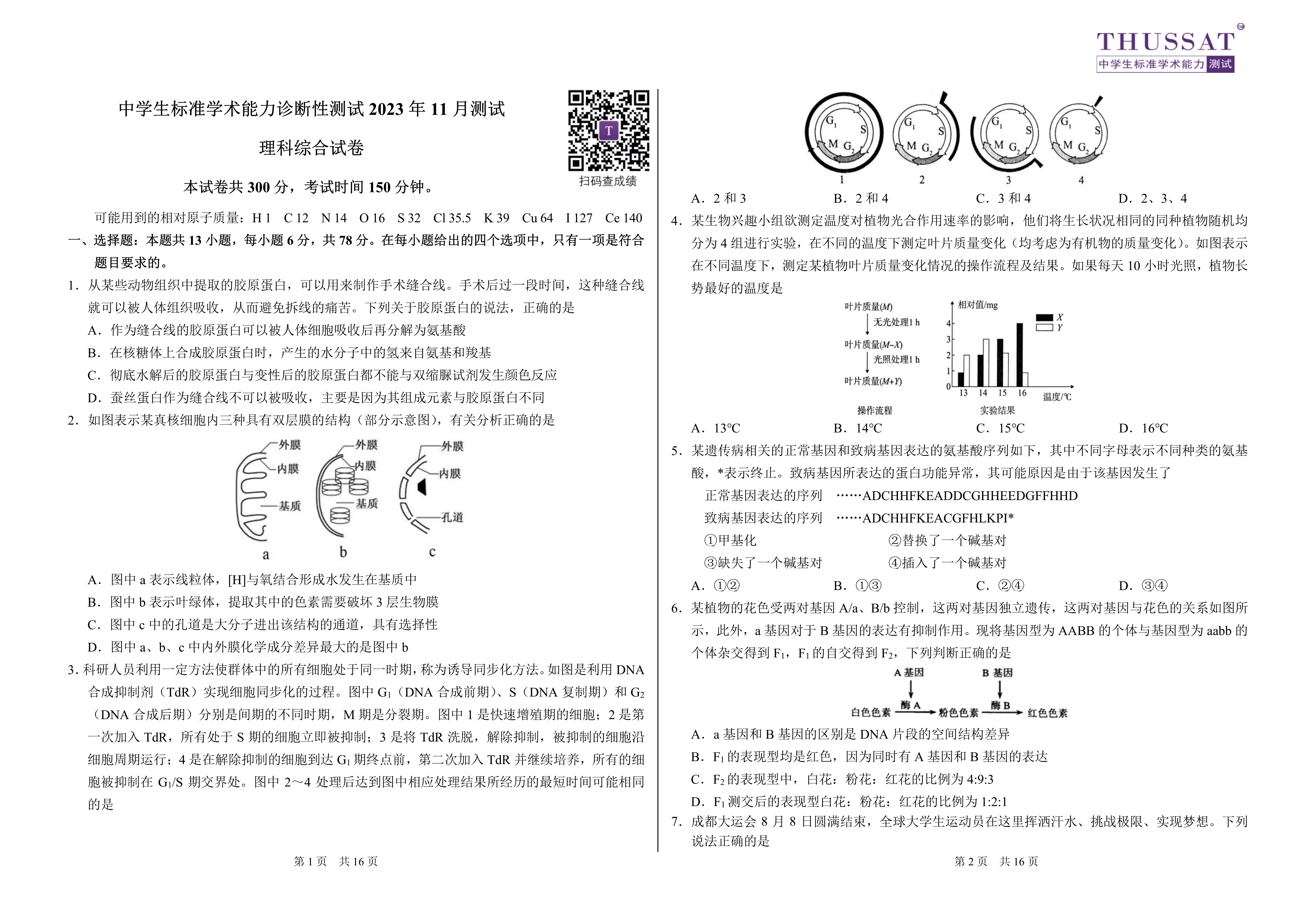 2024年高考真题——理综(全国甲卷) Word版含解析