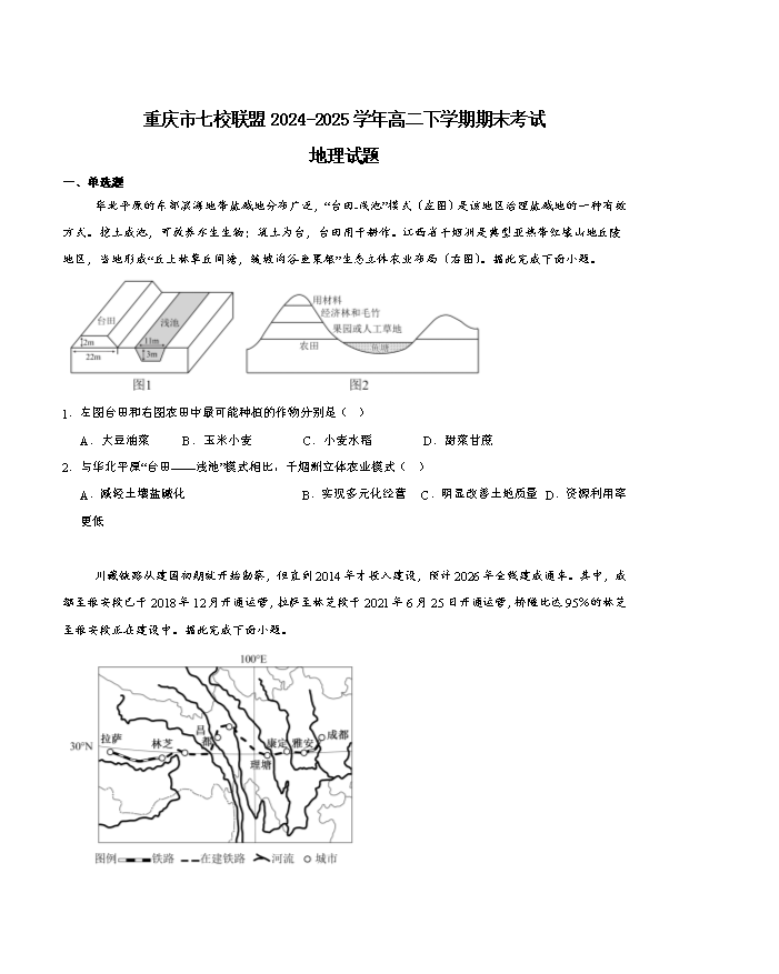 重庆市七校联盟2024-2025学年高二下学期期末考试 地理 Word版含答案