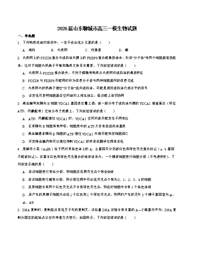山东省济南市2026届高三下学期二模试题 生物 PDF版含答案