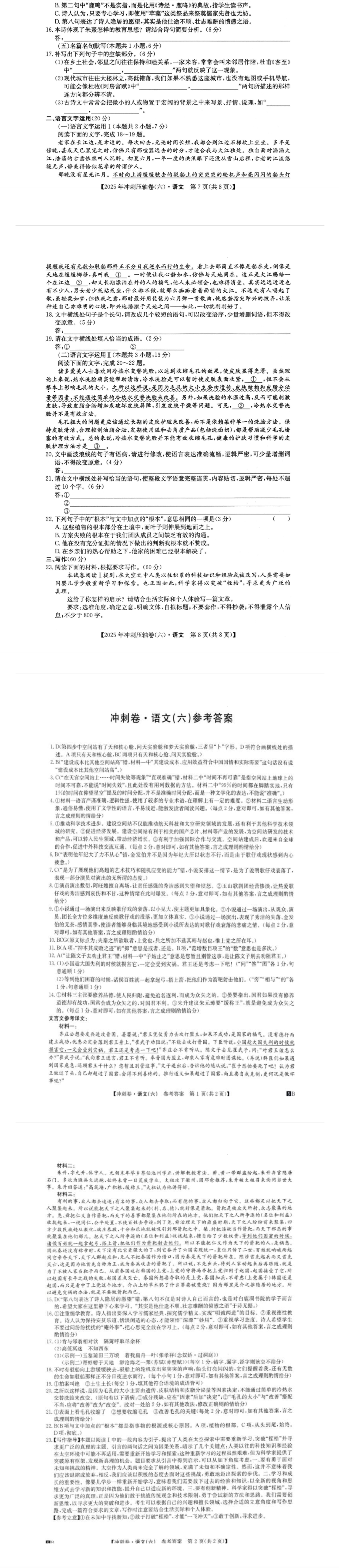 九师联盟2024-2025学年高二下学期7月质量检测试题 语文 PDF版含解析