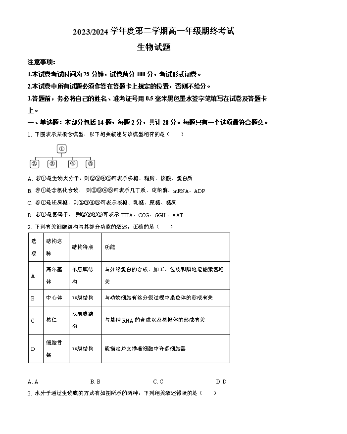 江苏省泰州中学2024-2025学年高三上学期开学考试 生物 Word版含答案